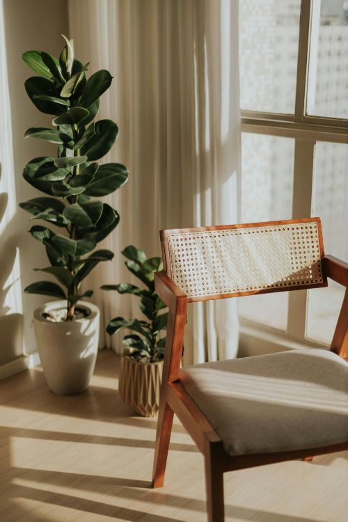 decoration amenagement feng shui rennes
